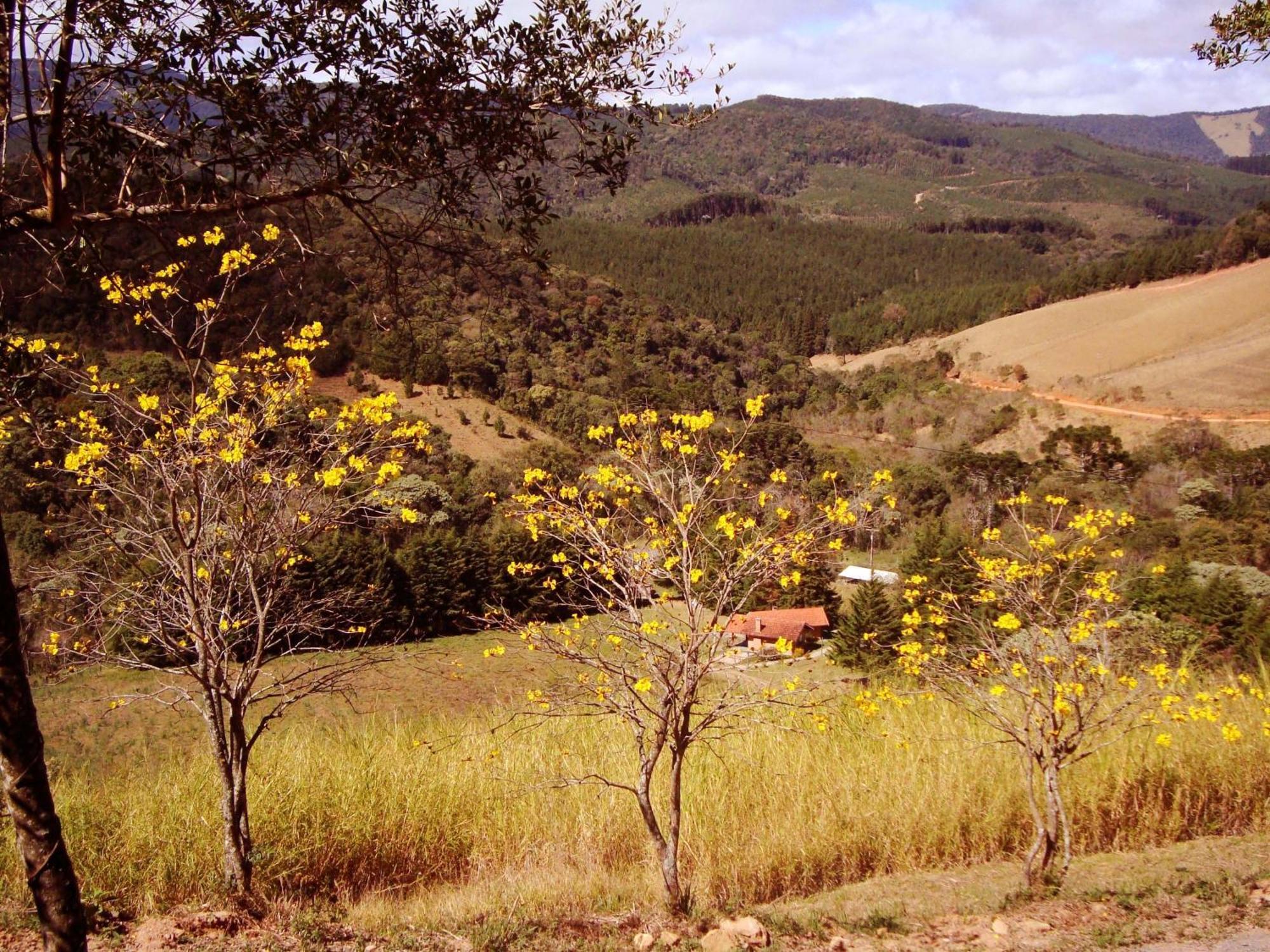 Chales Estrada De Chao Monte Verde  Exterior photo